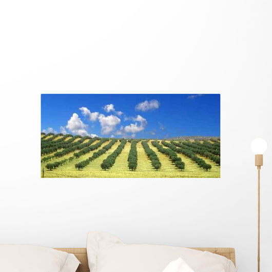 Olive Trees Field Wall Decal