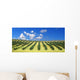 Olive Trees Field Wall Decal