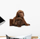 Two Puppies Labrador Retriever Wall Decal