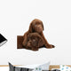 Two puppies Labrador retriever on a white background. Wall Decal
