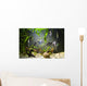Freshwater Aquarium Wall Mural