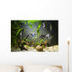 Freshwater Aquarium Wall Mural