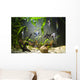 Freshwater Aquarium Wall Mural