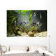 Freshwater Aquarium Wall Mural