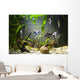 Freshwater Aquarium Wall Mural