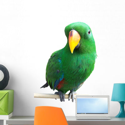 Parrot Wall Decal shown on a wall