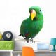 Parrot Wall Decal
