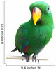 Parrot Wall Decal