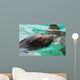 Great Face of a Sea Lion with Whiskers Wall Mural