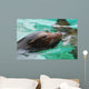 Great Face of a Sea Lion with Whiskers Wall Mural