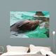 Great Face of a Sea Lion with Whiskers Wall Mural