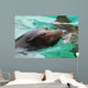 Great Face of a Sea Lion with Whiskers Wall Mural