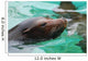 Great Face of a Sea Lion with Whiskers Wall Mural