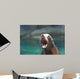 Cute Sea Lion With His Mouth Wide Wall Mural