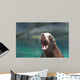 Cute Sea Lion With His Mouth Wide Wall Mural