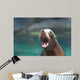 Cute Sea Lion With His Mouth Wide Wall Mural