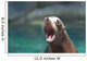 Cute Sea Lion With His Mouth Wide Wall Mural