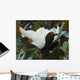 Magnolia Wall Mural