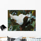 Magnolia Wall Mural