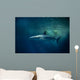 Blacktip Reef Shark Carcharhinus Wall Decal Design 1