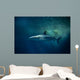 Blacktip Reef Shark Carcharhinus Wall Decal Design 1