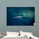 Blacktip Reef Shark Carcharhinus Wall Decal Design 1