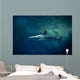 Blacktip Reef Shark Carcharhinus Wall Decal Design 1