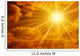 Sun Wall Mural