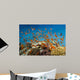 Coral Fish Reef Scape Wall Decal