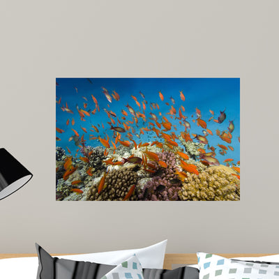 Coral Fish Reef Scape Wall Decal shown on a wall