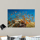 Coral Fish Reef Scape Wall Decal