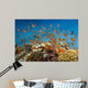 Coral Fish Reef Scape Wall Decal