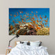 Coral Fish Reef Scape Wall Decal