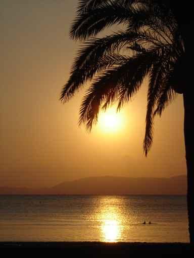 Sunset Sea Wall Decal