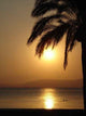 Sunset Sea Wall Decal
