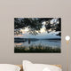 ? Wall Mural