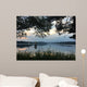 ? Wall Mural