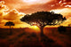 Africa Sunset Wall Mural