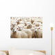 Herd Sheep Wall Decal