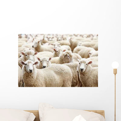 Herd Sheep Wall Decal shown on a wall