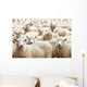 Herd Sheep Wall Decal