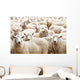 Herd Sheep Wall Decal