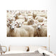 Herd Sheep Wall Decal