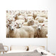 Herd Sheep Wall Decal