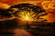Africa Sunset Wall Mural