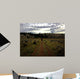 Hiker Wall Mural