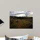 Hiker Wall Mural