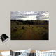 Hiker Wall Mural
