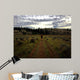 Hiker Wall Mural