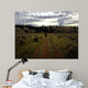 Hiker Wall Mural